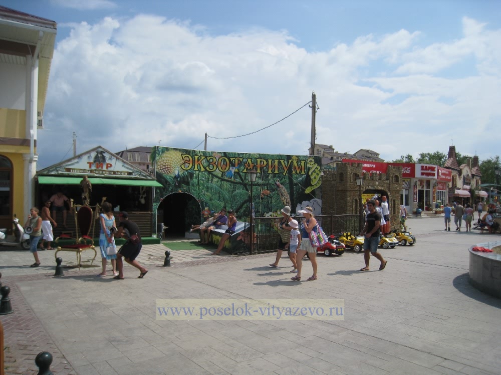 ����� ���� �������� ��������� ���������� - �������� ������������ ��������